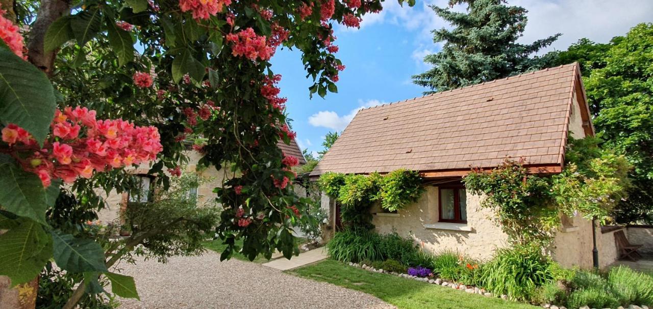 Appartamento Domaine Des Medards Beaulieu-sur-Loire Esterno foto
