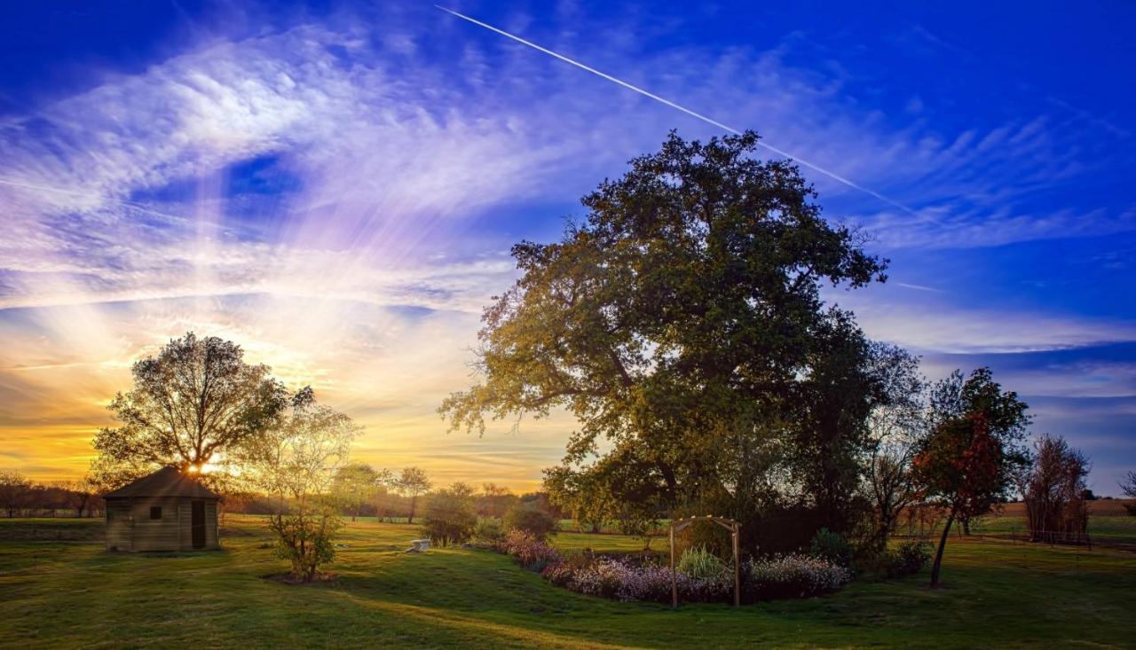 Appartamento Domaine Des Medards Beaulieu-sur-Loire Esterno foto